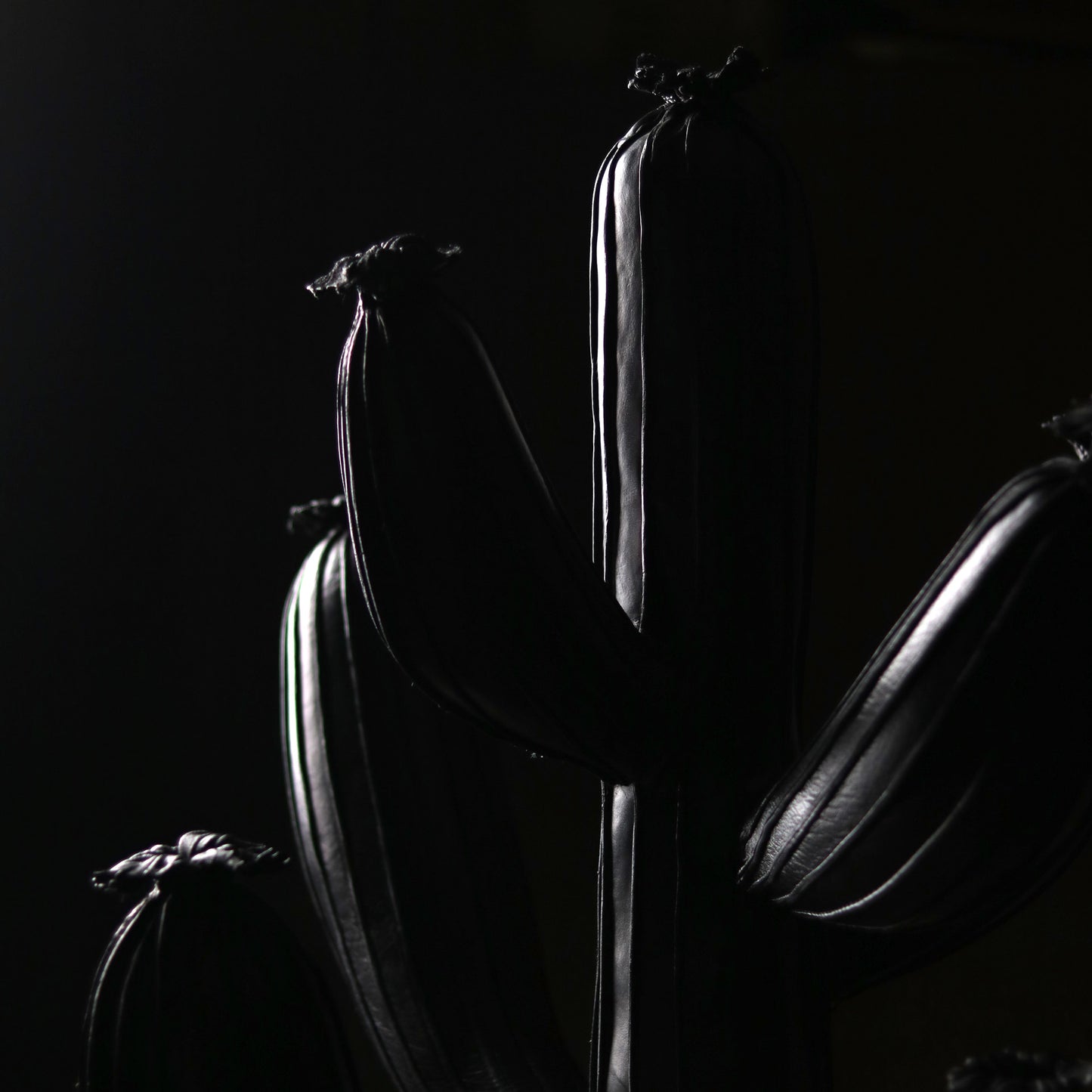 BLACK CACTUS