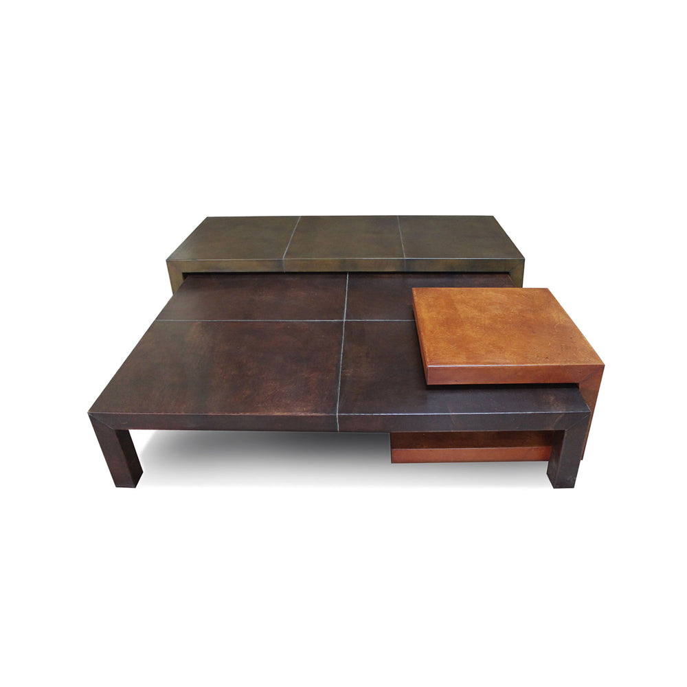 
                      
                        "Family Nest Set of Three Bunching Coffee Table"
                      
                    