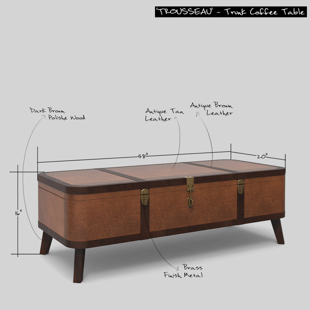 
                      
                        TROUSSEAU' - Trunk Coffee Table
                      
                    